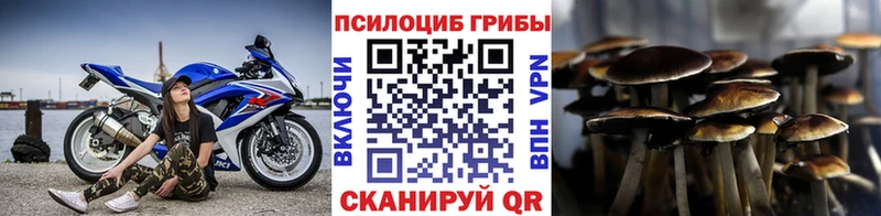 Галлюциногенные грибы GOLDEN TEACHER  Бирюч 
