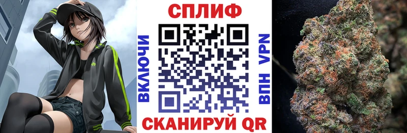 Бошки марихуана THC 21%  что такое   Бирюч 